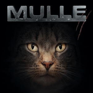 D'prinzessin ond d'r Lakai