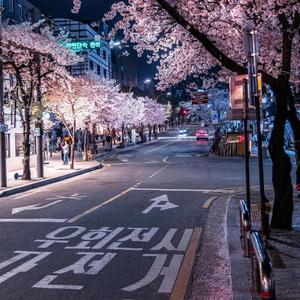 never met that girl! (feat. YNW BSlime)