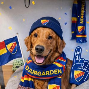 Blått Rött Gult i vårt hjärta