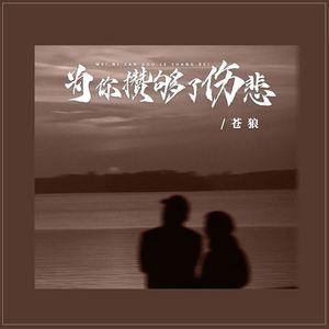 为你攒够了伤悲