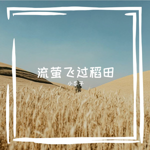 流萤飞过稻田