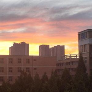 落叶总会有花开