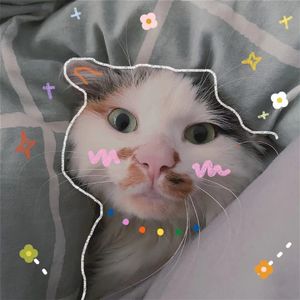 抉择