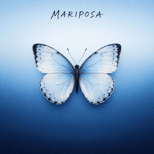MARIPOSA