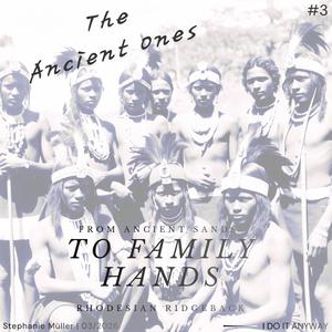 Rhodesian Ridgeback (The Ancient Ones)