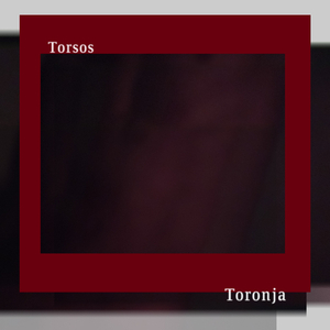 Torsos