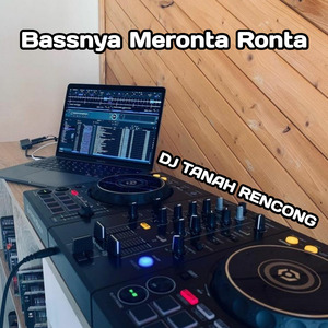 Bassnya Meronta Ronta