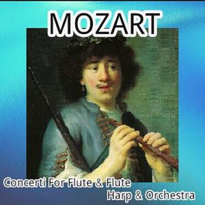 Flute Concerto No. 2 in D Major, K. 314: II. Adagio non troppo