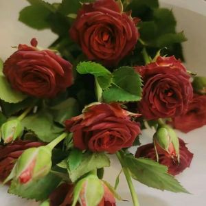 再恢复（Prod by Lisure）