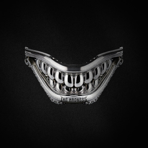 THE MADNESS (With I.D.O.)