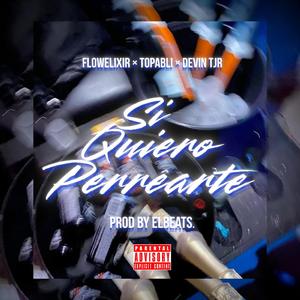 Si quiero perrearte (feat. Topablii & Flowelixir)