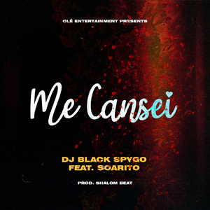 Me Cansei (feat. Soarito)
