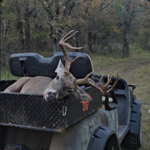 Buck Down