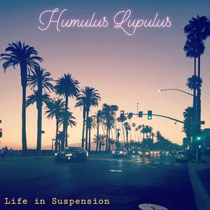 Life In Suspension