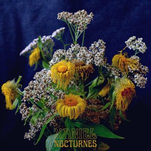 How Did We Ever Find Our Way?