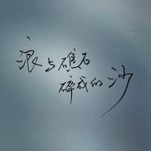 浪与礁石碎成的沙