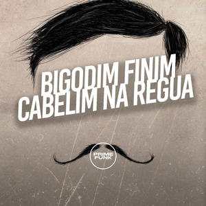 Bigodim Finim Cabelim na Regua
