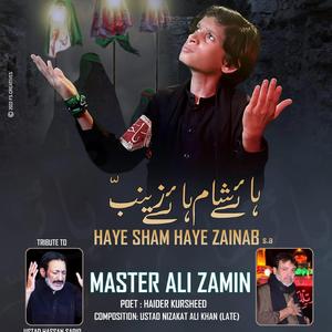 Hye Shaam Hye Zainab Mashup Noha Master Ali Zamin