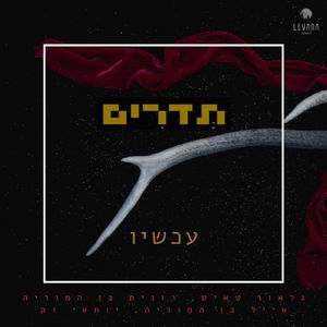 עכשיו