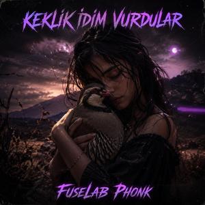 Keklik İdim Vurdular (Deep House Phonk)