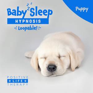 Baby Sleep Hypnosis Hedgehog (Loopable)