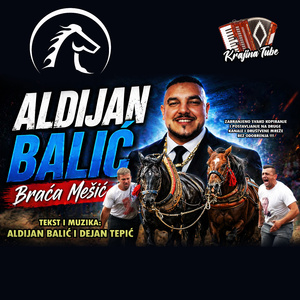 Braca Mesic