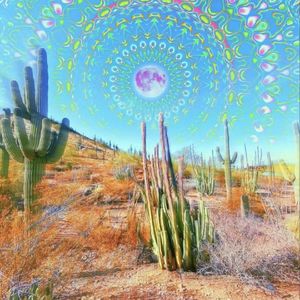 where am i(prodby.xw.danger)