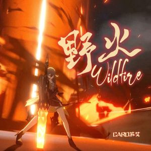 野火Wildfire