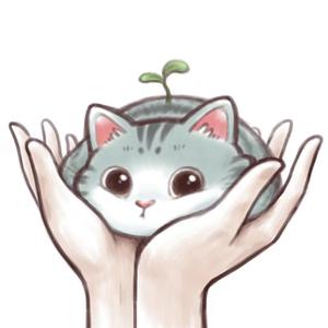 Music for Cats