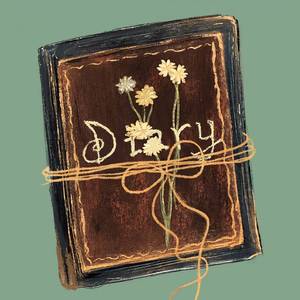 Diary（feat. X-ring）