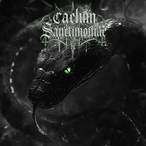 Through the Eyes of the Omniscient Ophis (Single Edit)