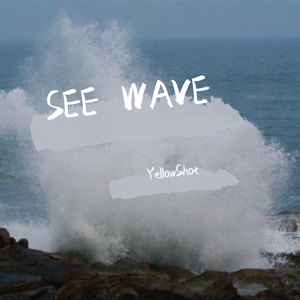 SEE WAVE