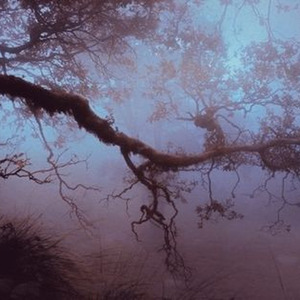 dustyful daydream