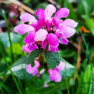 Là où la lumière nous trouve