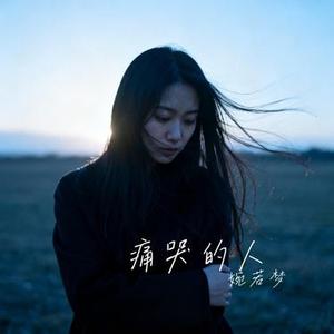 痛哭的人 (婉若梦 Remix)