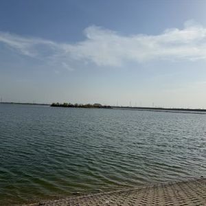 说不出口的喜欢