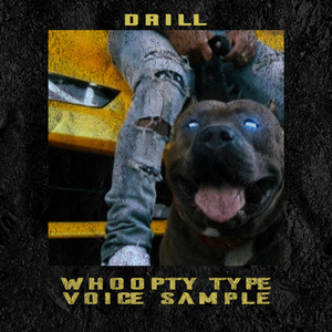 Drill - Whoopty Type - Voice Sample