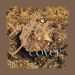 Hey Kong（cover：Key.L）