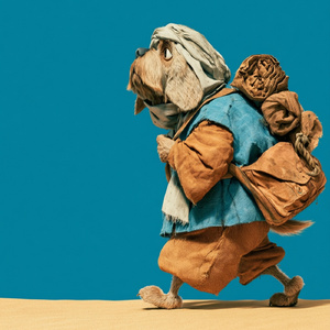 Travel Bug