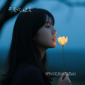 那年你笑颜如花(男版)