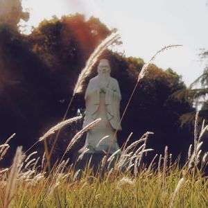 这七十载