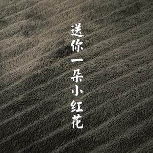 送你一朵小红花（翻自 赵英俊）