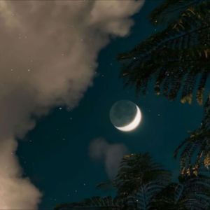 从此以后一个人