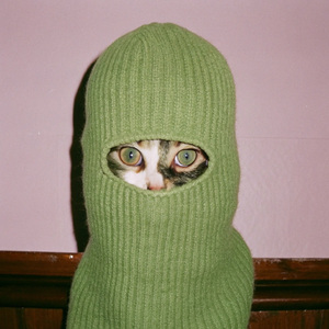 绿色忍者好心情