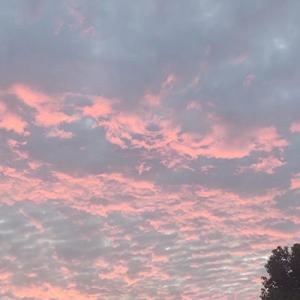 余香（cover张小九)