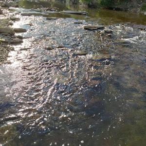 Freshman Freestyle Compilation