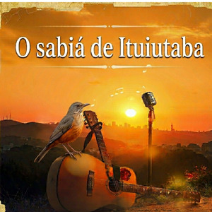 O sabiá de Ituiutaba