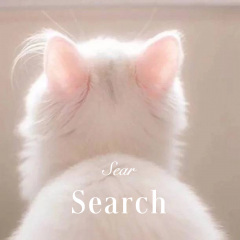 能不能不分手 (Remix)