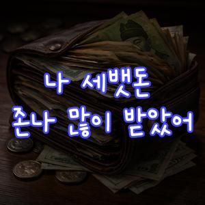 나 세뱃돈 존나 많이 받았어