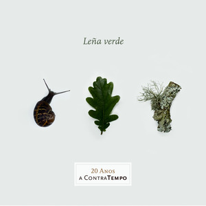 Vira o vento e muda a sorte